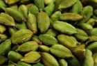 CARDAMOMO MALABAR FRUTTO VERDE